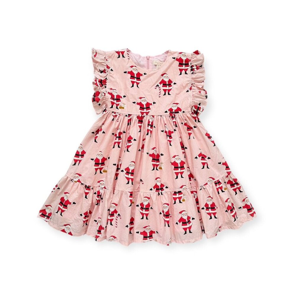 Pink Chicken Santa Kit Dress · 6